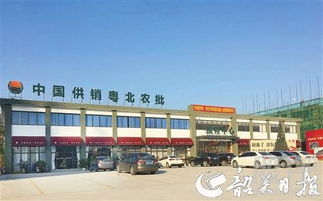中國供銷農產品批發市場控股 構建現代化食用農產品流通新格局